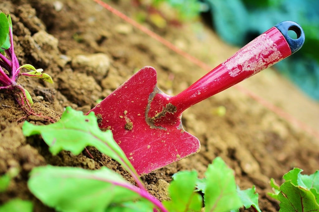 Pourquoi le jardinage devient une passion moderne ?